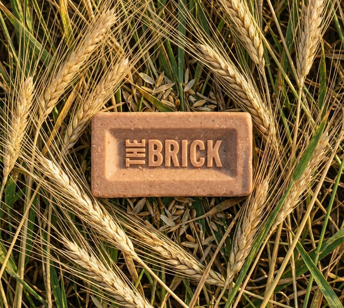 The Harvester bar in a wheat field